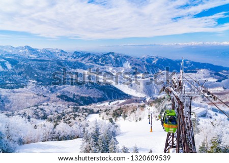 Skiing at Shiga Kogen ski resort in JAPAN.