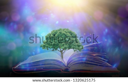 Abstract magic book education concept with tree of knowledge planting on opening old big book in library with textbook, stack piles of text archive and aisle of bookshelves in school study class room