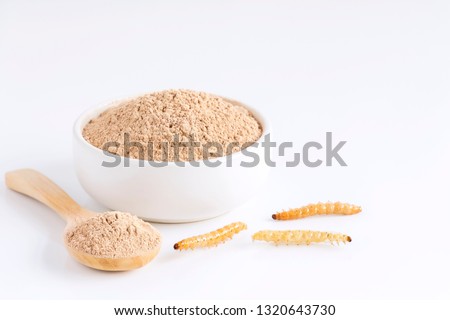 Bamboo worm powder. Bamboo Caterpillar flour for Insects eating as food edible items made of cooked insect meat in bowl and spoon on white background is good source of protein. Entomophagy concept. Royalty-Free Stock Photo #1320643730