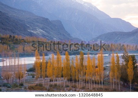 Scenery looks dry but beautiful with yellow trees and clear blue rivers.wonderful landscape on autumn of Northern Pakistan.The river caused by melting snow.turqoiuse river in Gilgit-Baltistan.