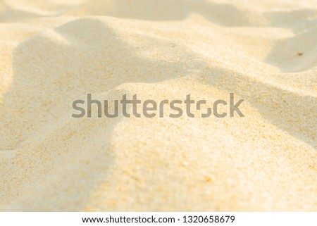 Beach sand dunes in the summer sun.