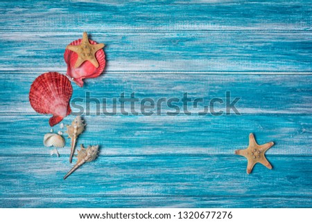 Top view on starfish and seashells on blue wooden background as concept of vacation time with copy space