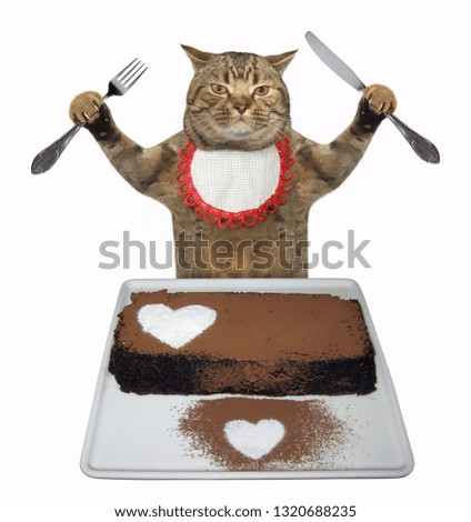 The funny cat is eating the chocolate cake with a fork and a knife. White background.