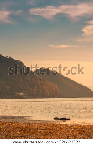 view of the coast and headland there is golden lighted in the morning
