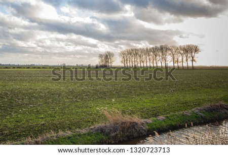 Large field with recently sown grass along a ditch with a row of tall trees with bare branches in the background. The photo was taken in the Zonzeelse Polder near the village Wagenberg, North Brabant.