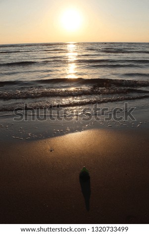 The beach sunset 