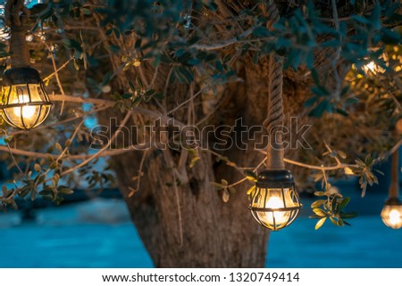 tree lantern romantic view