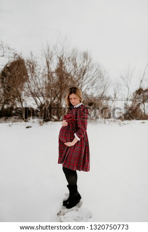 Young happy pregnant woman in red dress on a background of a snow park. Winter outdoor portrait of pregnant woman.