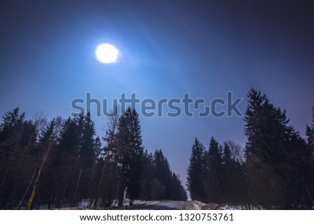 Night winter forest landscape on a full moon.