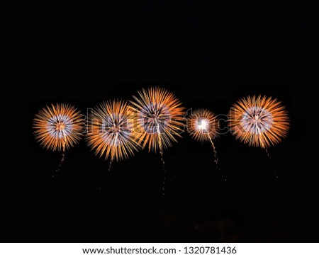 Fireworks flashes in night sky