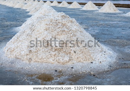 Fields of white salt in the clear sky. Salt is an important food for people.