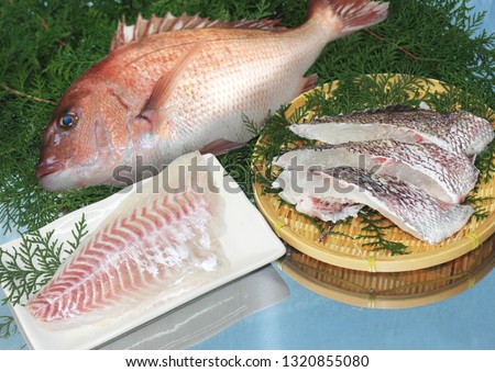 Pagrus major, the red seabream is a fish species in the Sparidae family. In Japan, Pagrus major is known as madai and is prized both for its flavor and for its traditional use as an auspicious food. Royalty-Free Stock Photo #1320855080