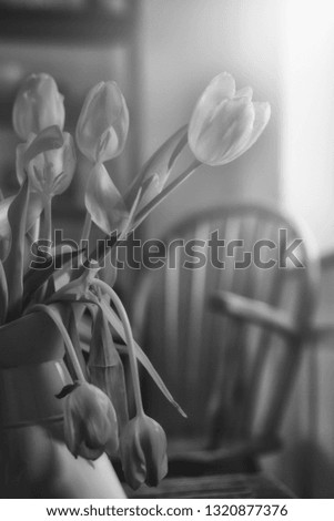 Black and white flowers interior  