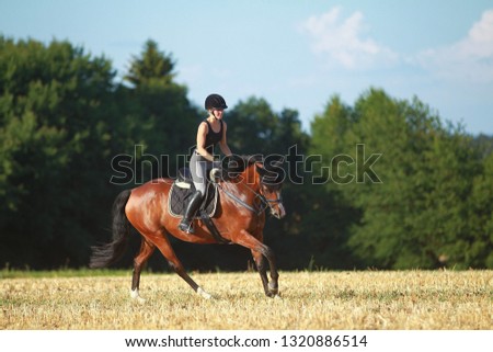 Young horse woman rides young horse on a harvested field in various gaits.