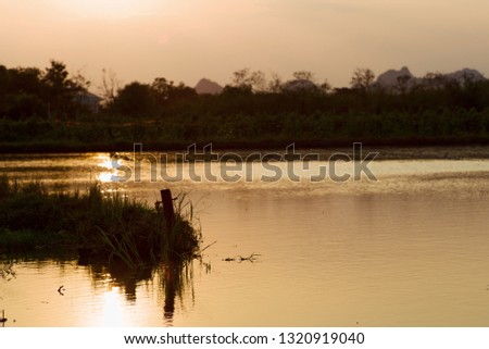 Silhouette picture of landscape and grass in the natural pond with twilight sky and landscape of tree in background