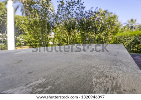 Table background of free space for your decoration and spring time 