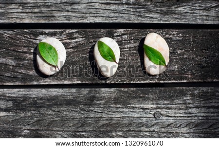Zen wooden  background with grey stones and green leaves. Top view