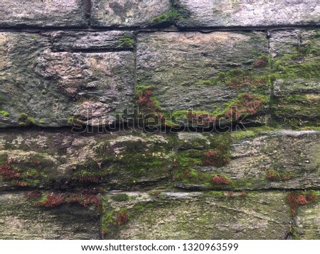 Stone wall with moss in Central Park, New York