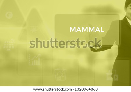 MAMMAL - technology and business concept