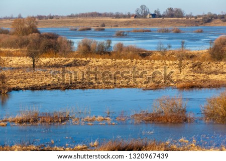 picturesque landscape of the river bed among brown forest with small houses on the horizon