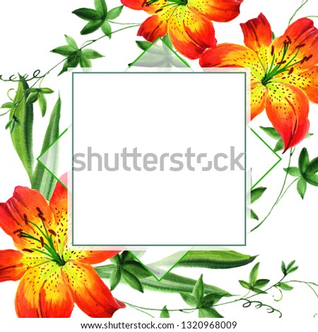 Watercolor lily flower. Floral botanical flower.  Aquarelle wildflower for background, texture, wrapper pattern, frame or border. - Illustration