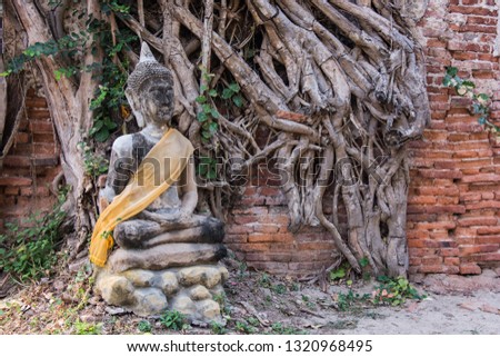 Stone Buddha and the banyan tree background.Thailand.