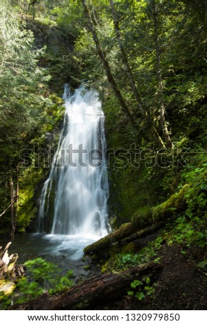 Waterfall in Washington state in the Olympic Peninsula with extensive moss covered rocks, trees and green undergrowth.