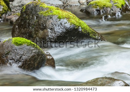 smooth, silky white water running down a stream  in Washington state in the Olympic Peninsula with extensive moss covered rocks, trees and green undergrowth.