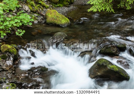 smooth, silky white water running down a stream  in Washington state in the Olympic Peninsula with extensive moss covered rocks, trees and green undergrowth.