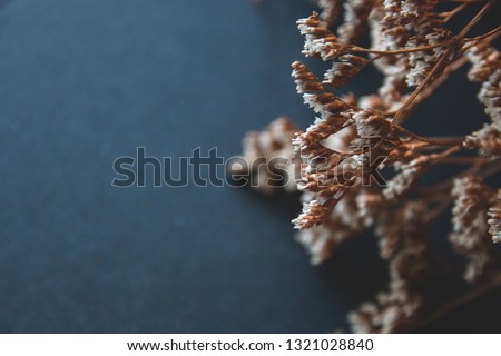 Dry artificial flowers on a black background, top view. Copy space for holiday card or banner on black background.