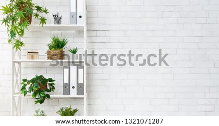 Office bookcase with plants and folders over white wall, empty space