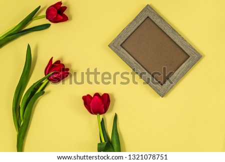 red tulips with wooden frame on yellow background 