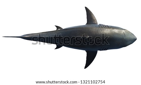 White shark marine predator big, top view. 3D rendering