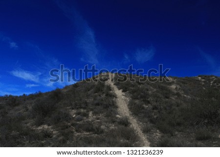 a picture of an exterior Pacific Southwest forest hiking trail