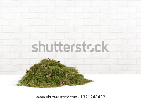 Pile of Lawn Grass Cuttings on a White Surface with White, Grey Brick Background Royalty-Free Stock Photo #1321248452