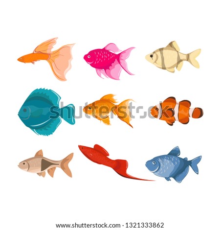  Fish vector characters. Colorful coral reef tropical fish set vector illustration. Sea fish collection isolated on white background. 