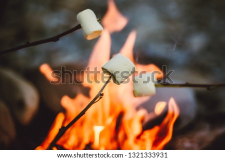 People roasting marshmallows around fireplace, enjoying their holiday