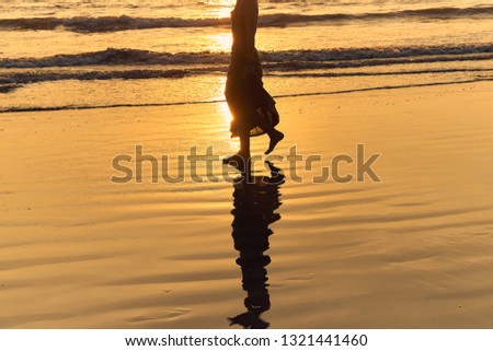 Romantic young girl walks on the beach barefoot in the water. Woman stroll barefoot in the sea at sunset. Beautiful female legs in the ocean. Silhouette of a female body in a dress on sea background. 