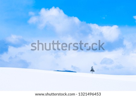 Beautiful outdoor nature landscape and christmas tree in winter snow season with copy space