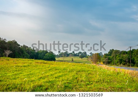 
Field with yellow dandelions and blue sky. Landscape concept-Image