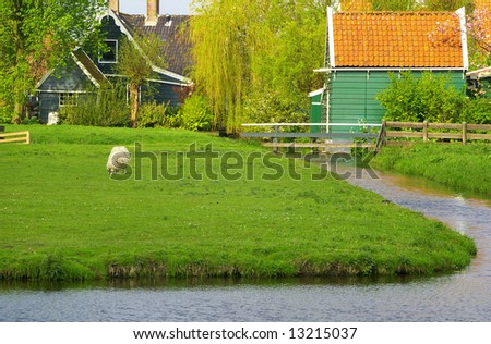 Picture of a old dutch village of Zaanse Scans