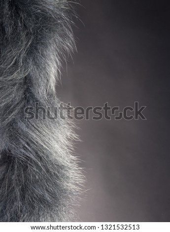 dark beautiful fur studio close up shot 