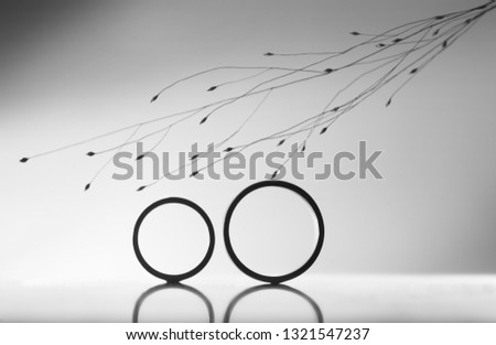 Wedding rings with a sprig