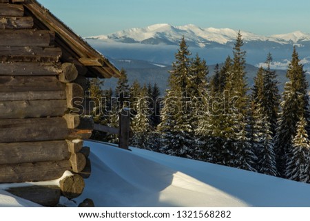 abandoned wooden hut in winter Carpathian mountains. shepherds' huts in the winter Carpathians on the background of snow-covered mountain ridges and coniferous forest. 
