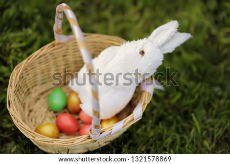 Colorful Easter eggs in a basket with cute white toy bunny. Celebrating Easter outdoors. Accessories for Easter party in park