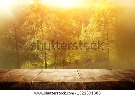 photo of front rustic wooden table and background forest