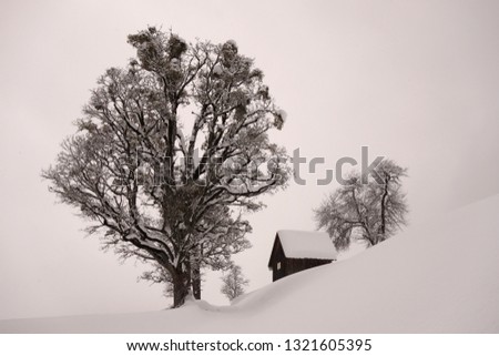 Group of trees and cottage in snowy mountain landscape