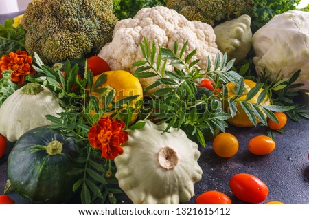 Beautiful picture of vegetables. squash, cauliflower, cherry tomatoes and broccoli Natural texture of vegetables.