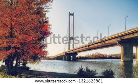 View on bridge from the coast with beautiful orange tree in autumn day. Dnipro river in Kiev, Ukraine