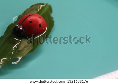 At this picture you can see a beautiful ladybug on the water.